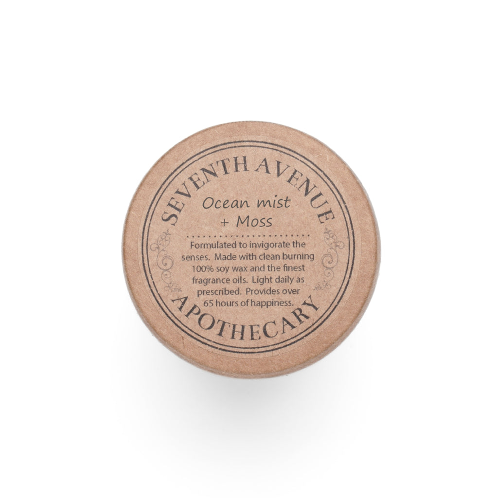 Ocean Mist Moss Scented Candle, Beachy Aromatherapy Candle for Relaxation, Home Décor